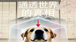 刷新认知！原来人类拥有狗鼻后，才能发现世界的真相