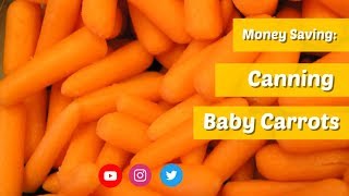 Money Savings  Canning Carrots