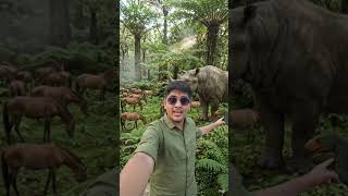 daynasor ke gayab ho jane ke bad keya hua. 😨 #status #vlog #explore#shortfeed #virelshorts#beat