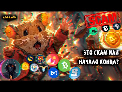 Hamster Kombat, blum