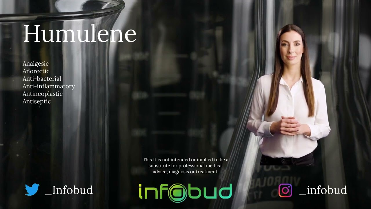 Terpenes - Infobud - Humulene