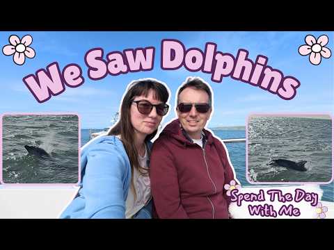We Saw So Many Dolphins! Anniversary Vlog
