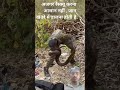 ajigar resque karna aasan nhi hota.. #Aura999 #growth #youtube #realfools #snakes #resque #respecta