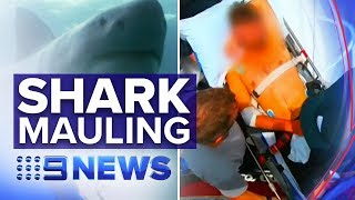 Man loses foot in vicious Queensland shark attack | Nine News Australia