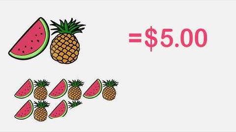 Conceptual and Procedural Understanding