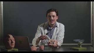 UCLA Neuroanatomy: Lab 1 - Sheep Brain Dissection