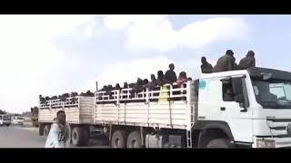 ‏شاحنات كبيرة مليئة بالاسرى من جنود الجيش الاثيوبي تصل الى عاصمة تيغراي ميقلي.#shorts