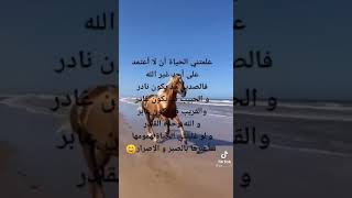 علمتني الحياة