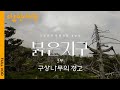 [다큐인사이트 4K FULL] 사라지고 난 뒤에야 보이는 것들. 폭염으로 죽어가는 한반도 자생종의 다잉 메세지 | 붉은 지구 3부 구상나무의 경고 (KBS 210916 방송)