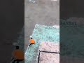 لو الشعر الأبيض شاب القلب لسه شباب دابو واحبابو 