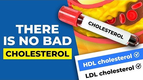 There is NO BAD Cholesterol...