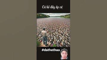 HaHa #chatgpt #ai #tube #chatgpt4 #cauchuyen #vuive #hàihước #foryou #memes #chatgpttomakemoney