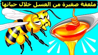 كيف ولماذا يصنع النحل العسل (وغيرها من الحقائق المذهلة عن النحل)