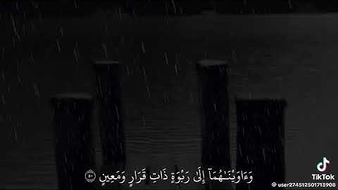 ثم ارسنا موسى وأخاه هارون بآياتنا وسلطان مبين
