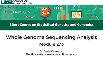 Whole Genome Sequencing Analysis - Module 2