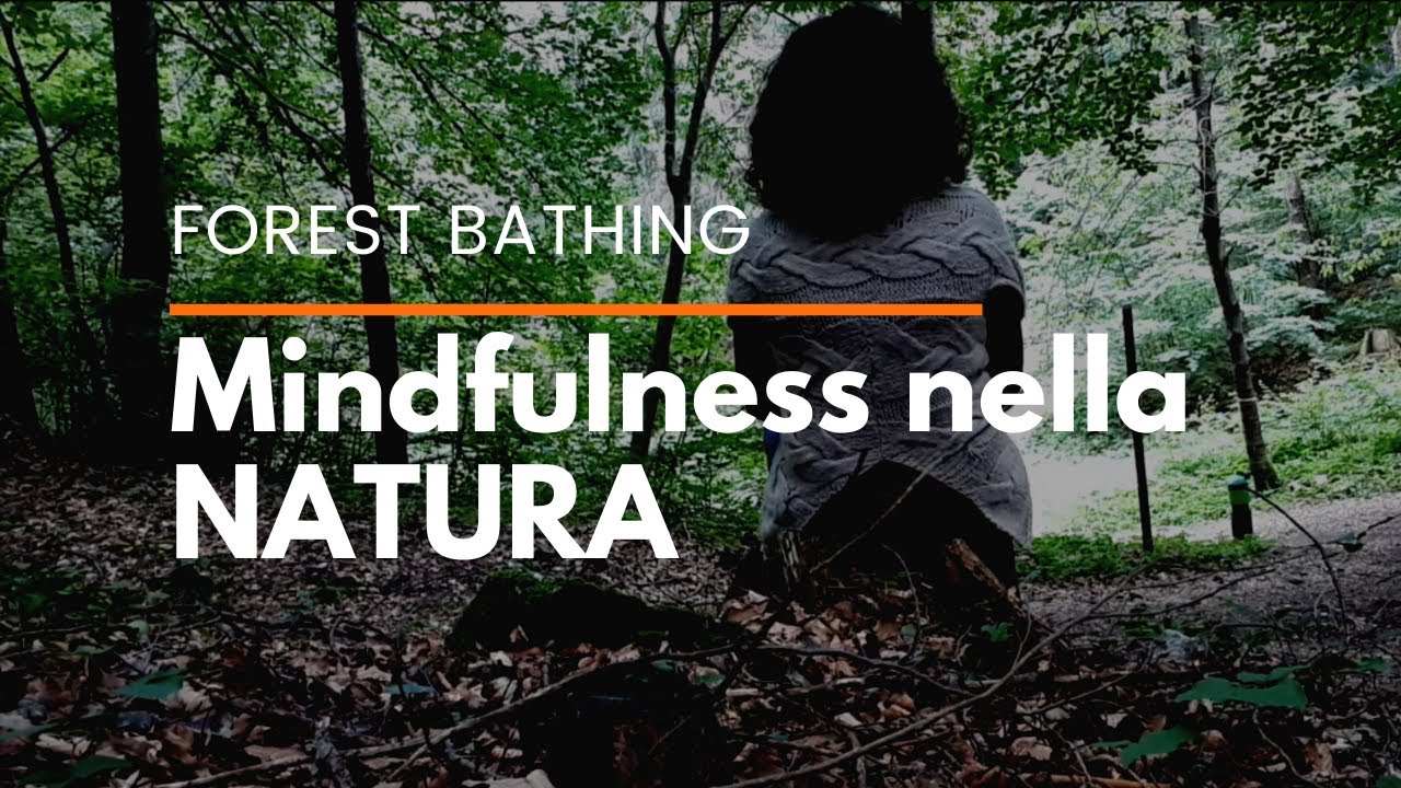Mindfulness nella Natura | Immersione nella Foresta | Non Solo Mindfulness