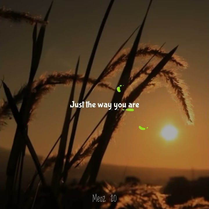 Just the way you are - Bruno mars (story wa;)