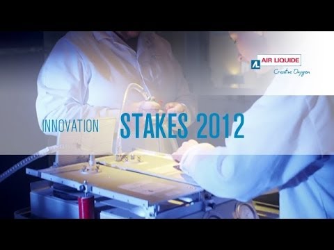 Air Liquide - stakes 2012