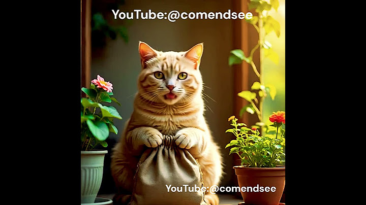 മോനേ ഞാനൊരു  ഉപകാരമാണ് ചെയ്തത് 😂🤣🤣|| #comendsee #shorts #shortsfeed #short