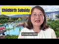SHExplainer: Childbirth Subsidy