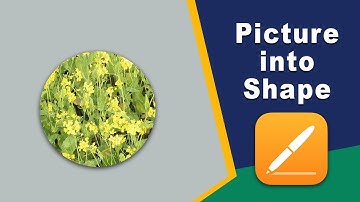 how to insert picture into round shape Apple Pages iCloud