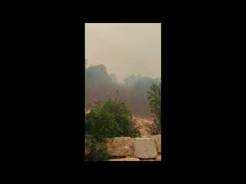اضرار كبيرة لاربع منازل ونفوق اغنام لعائلة عادل الشيخ خليل من عرعرة يستهترون بالبلدات العربية