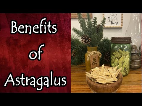 וִידֵאוֹ: Astragalus צמר-פרחוני: סגולות רפואיות וטיפוח בגינה