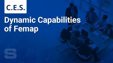 Dynamic Capabilities of Femap