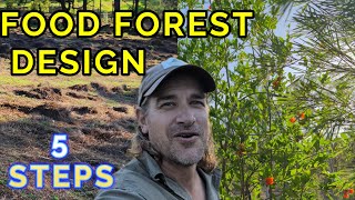 Permaculture Food Forest Design 5 Steps to Start Your Edible Ecosystem The Gazza Guide