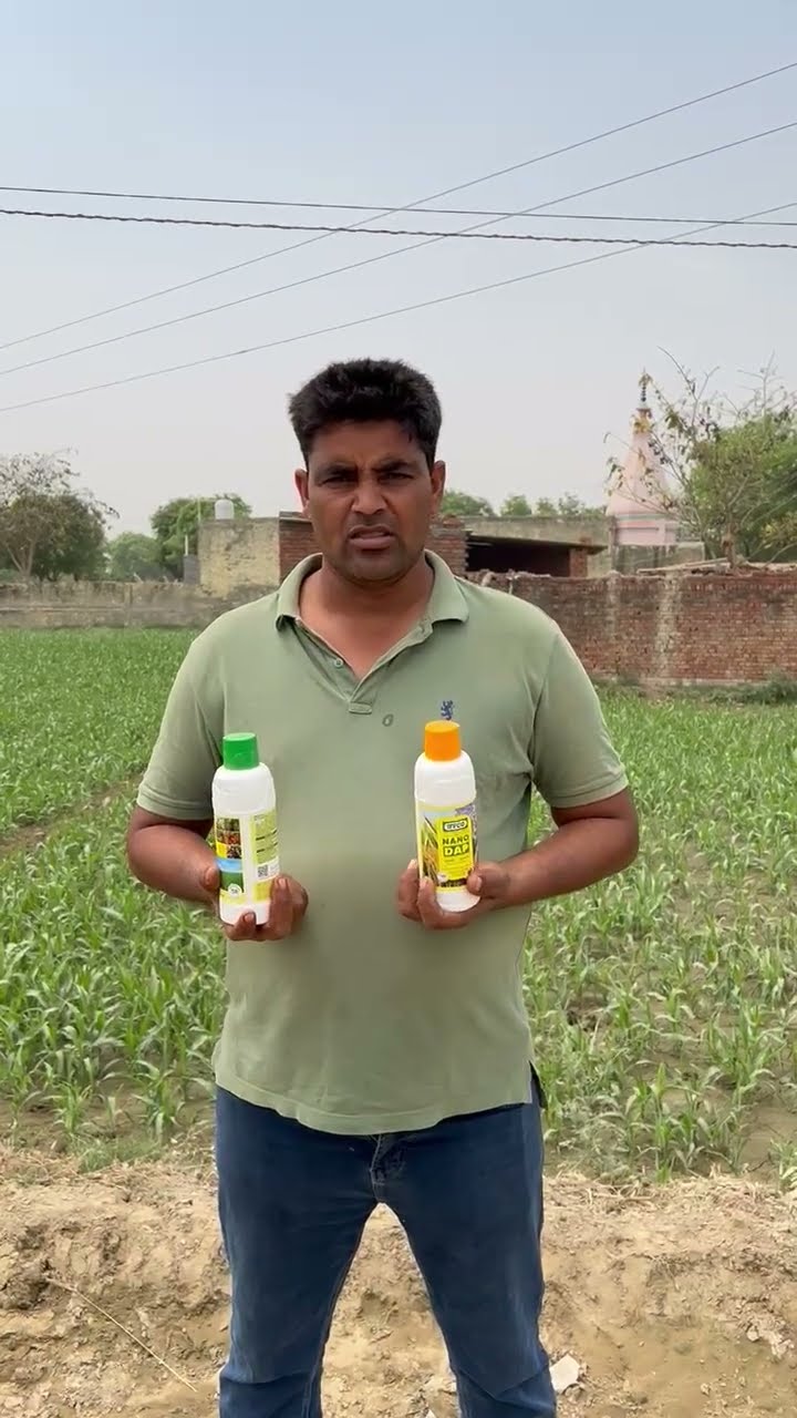 अलीगढ़ के किसान राजकुमार ने नैनो यूरिया और नैनो डीएपी  को बताया कितना फायदेमंद |वनइंडिया हिंदी