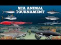 Sea animal tournament  animation