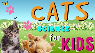 Cats | Science for Kids