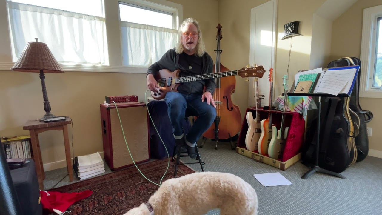 Alembic Stanley Clarke Brown Bass demo