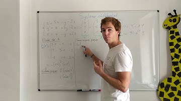 Système différentiel (1)