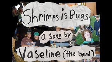 Shrimps is Bugs (Official Music Video)