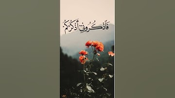 قراءه قران الكريم بصوت القارئ ماهر المعيقلي راحه نفسيه احترم القران 15 ثانيه