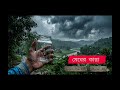 মেঘের কান্না।. Lyrics -RiazMd. Music-AI #everyonefollowers#trending #fypシ゚viral #মেঘেরকান্না #কান্না