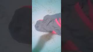 Rotina Da Minha Festinha Do Pijama