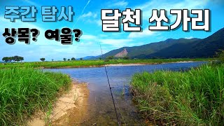쏘가리 주간 탐사! 장마 이후 달천 쏘가리는 어디에??