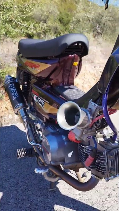 danni drag astrea grand