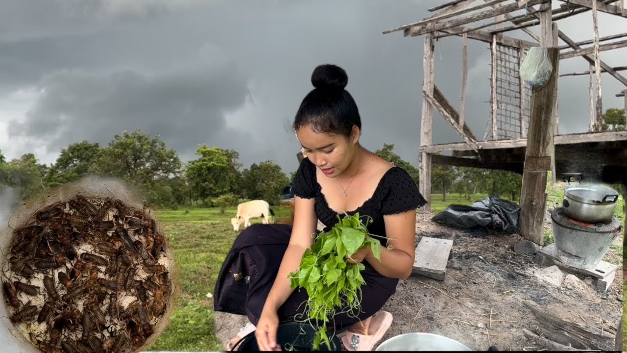 ປົ່ນຈີຫຼໍ່ກິນກັບລວກຜັກບ້ວງ🇱🇦ป่นจิโป่มกินกับลวกผักบ้วง