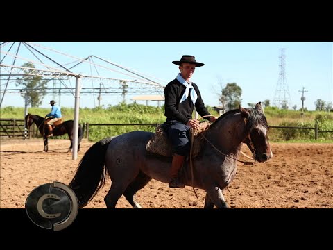 Como ensino meu cavalo a girar?