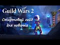 Guild Wars 2 Стартовый гайд для новичка