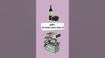Máy ép cơm rượu Phúc bồn tử vắt kiệt nước #vinaorganic #mayepnuoccot