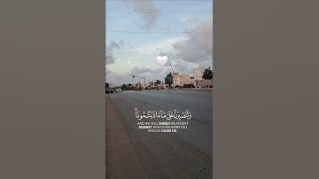 الآية 12 من سورة إبراهيم ♡♡