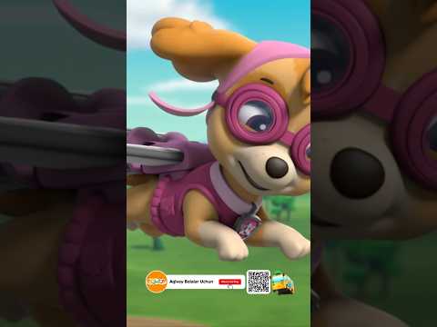 Kuchukchalar Jamoasi Qaytdi Yangi Seriyalarni Tomosha Qiling PAW PATROL Uzbek Tilida