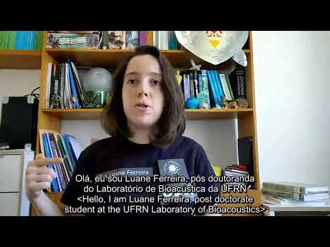 As conversas remotas dos lobos-guará