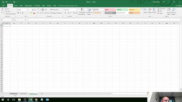 Enter Data into Multiple Worksheets...AT THE SAME TIME!