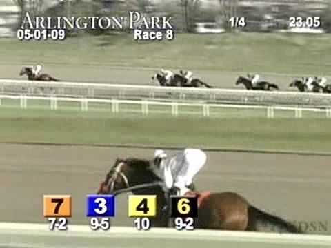 ARLINGTON PARK, 2009-05-01, Race 8