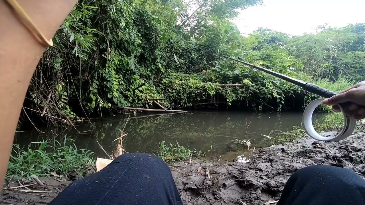 Memancing ikan bader / ikan tawes liar / ikan sirip merah di sungai YOGYAKARTA sulit???